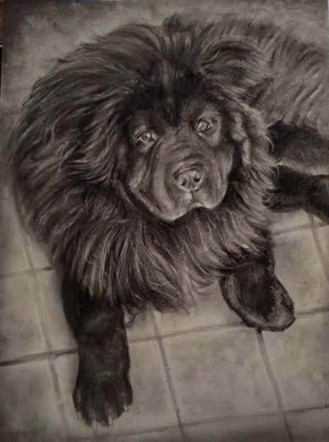 9”x12” commission