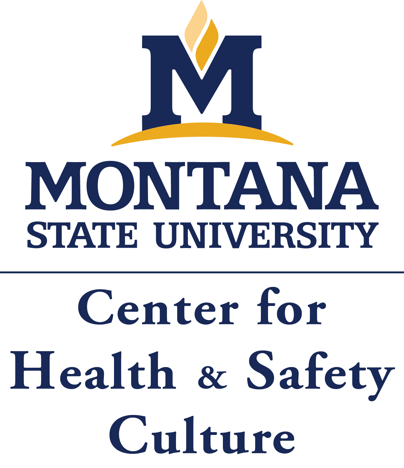 MSU_CHSC_vertical-1.png