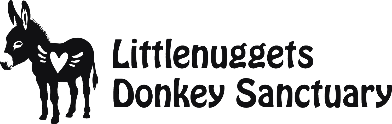 Littlenuggets Donkey Sanctuary