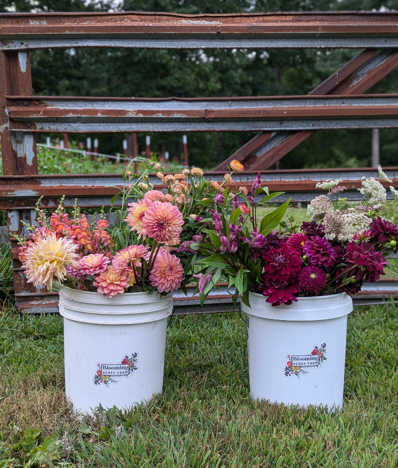 Screenshot 2026-04-07 201500.png