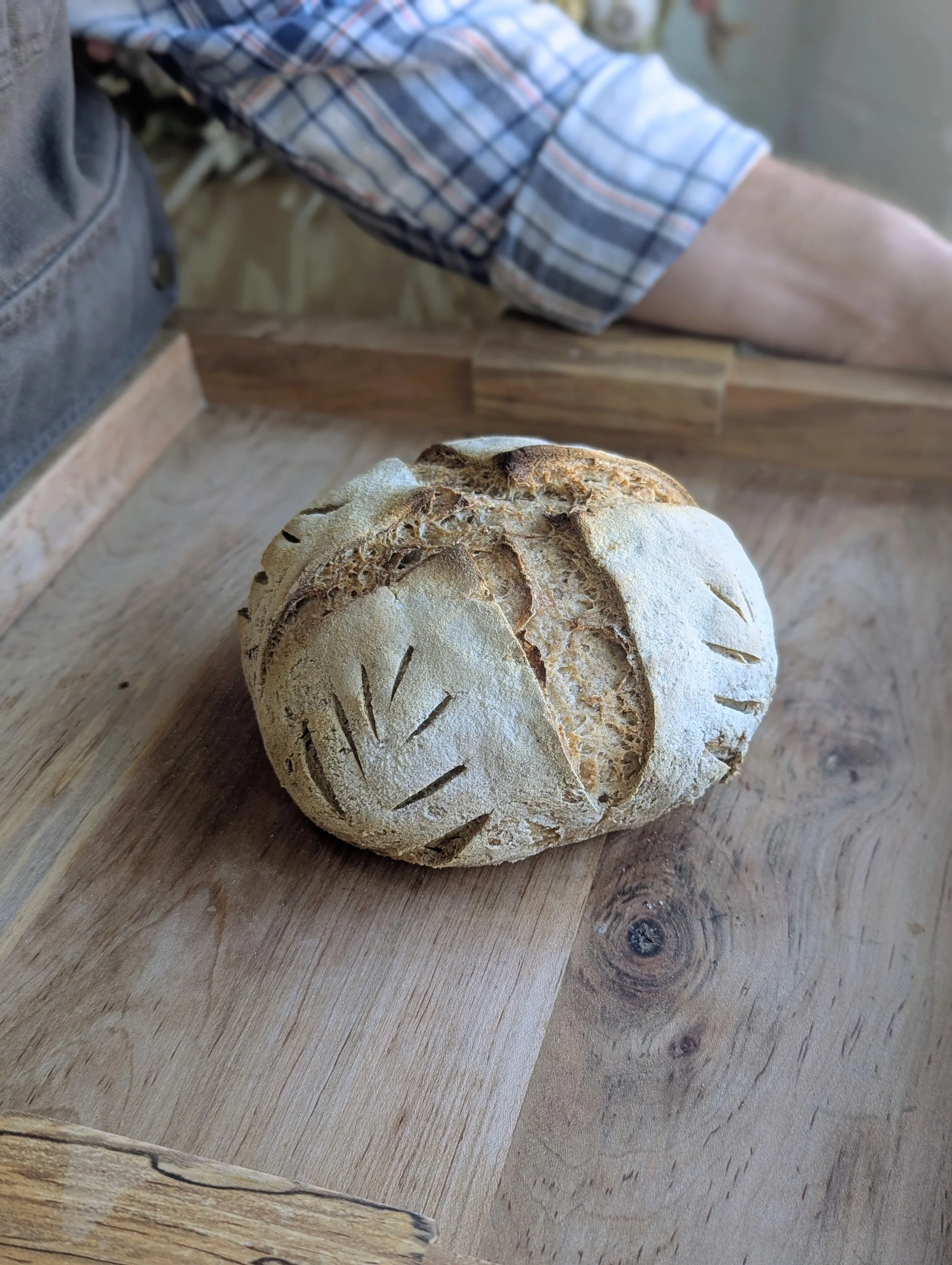 Gluten Free Sourdough Boule