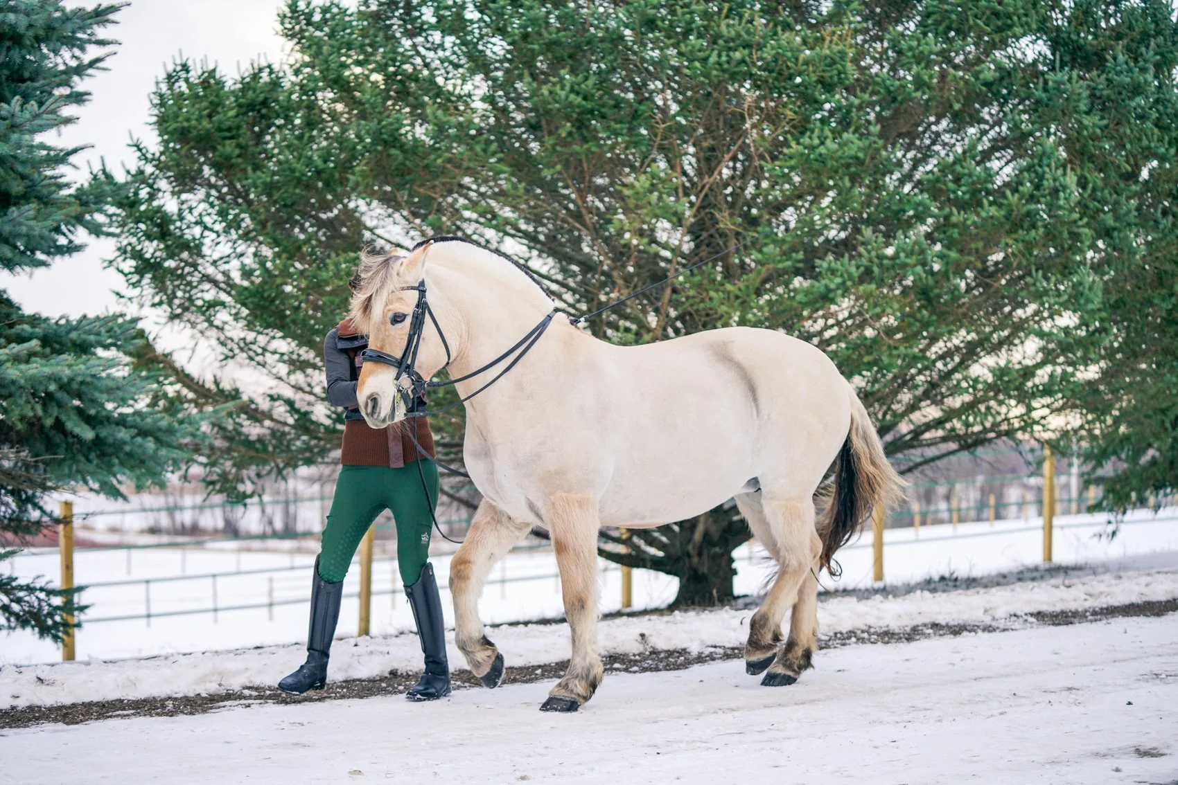 inhandsnow6.jpg