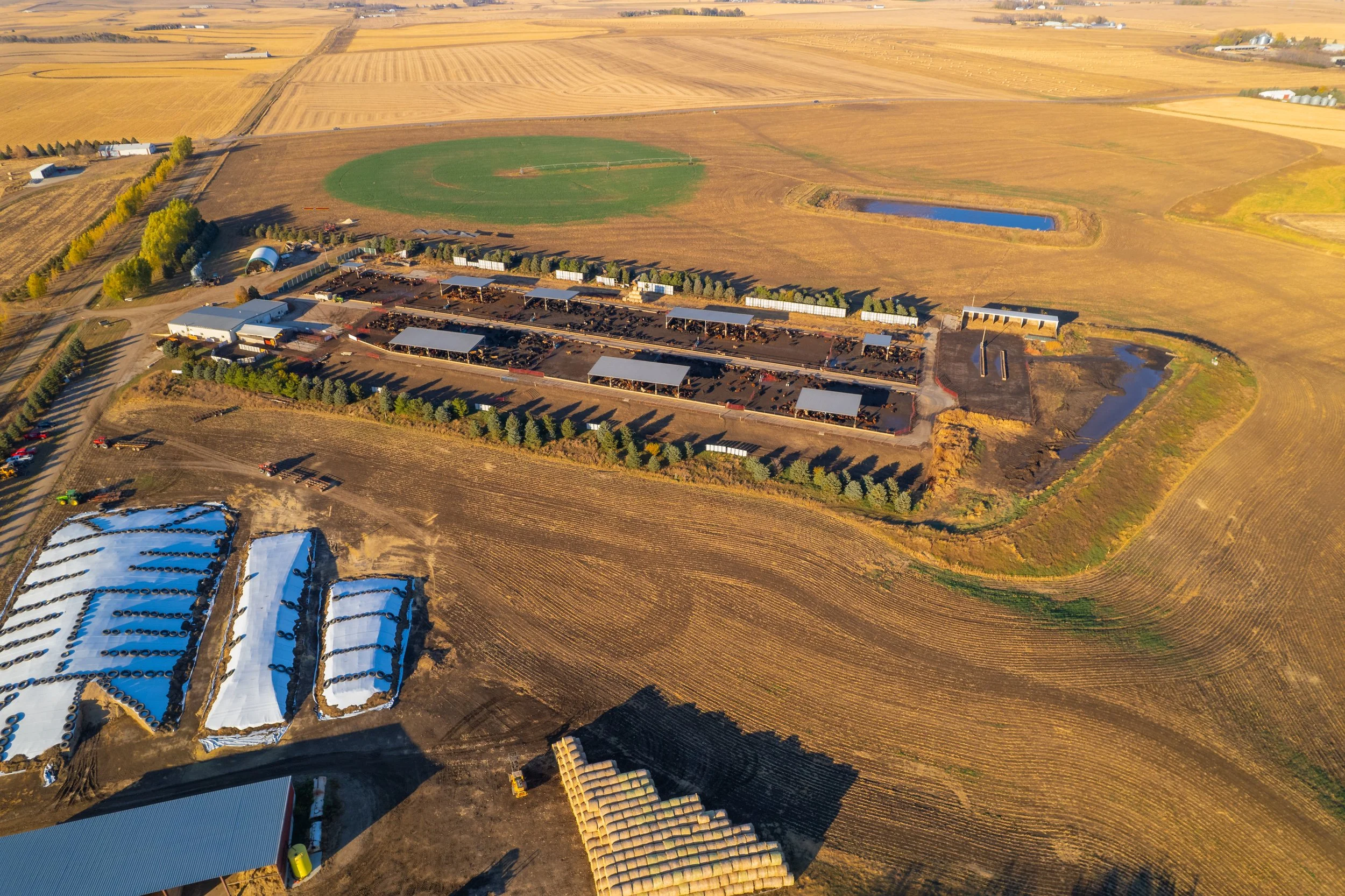 DJI_0541.jpg