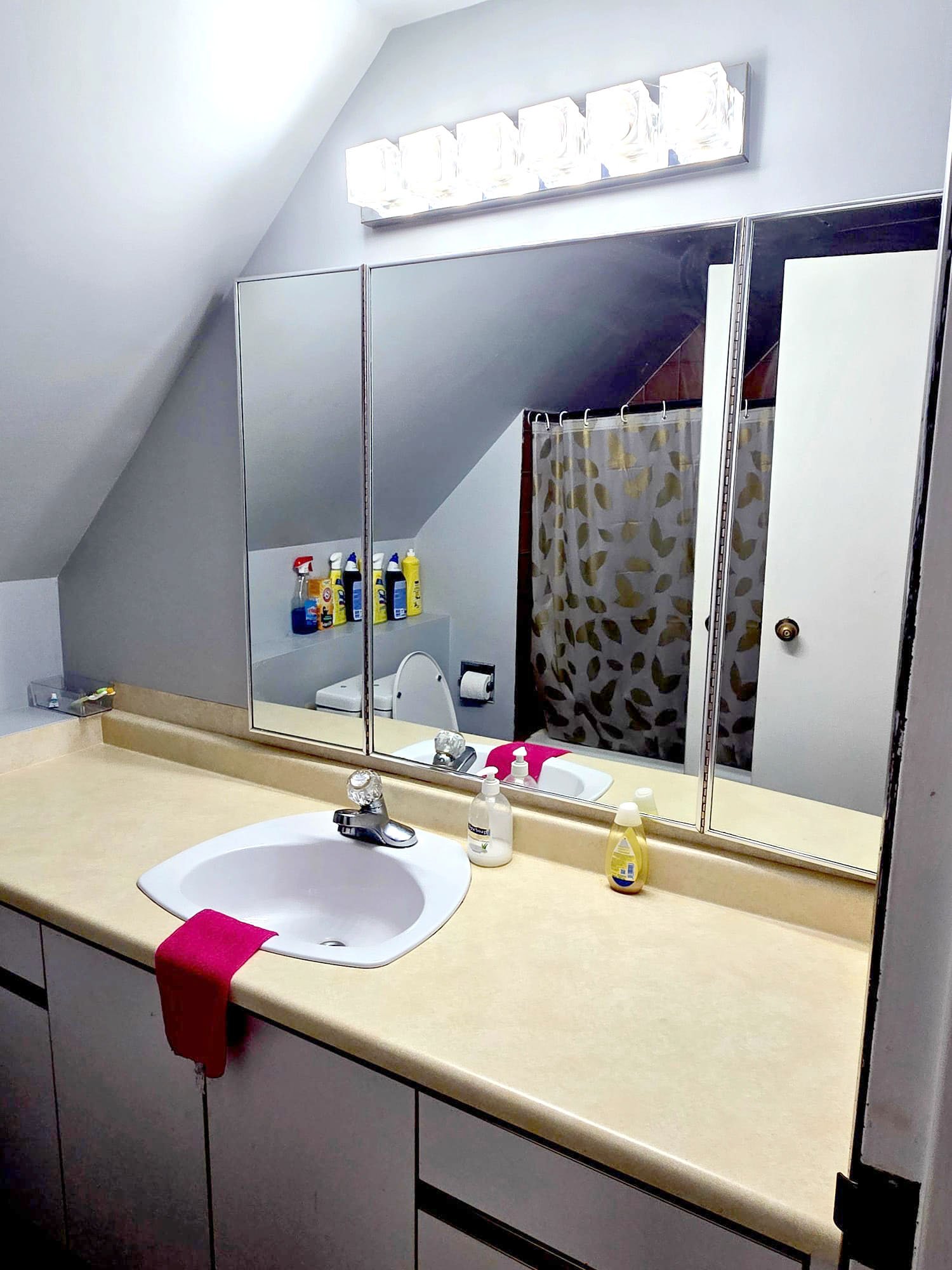 Bathroom with a vanity mirror and sink, countertop with soap and lotion bottles, a pink cloth on the counter and a red towel hanging over the sink, a toilet is visible in the background with cleaning supplies on a shelf above, a shower curtain with a