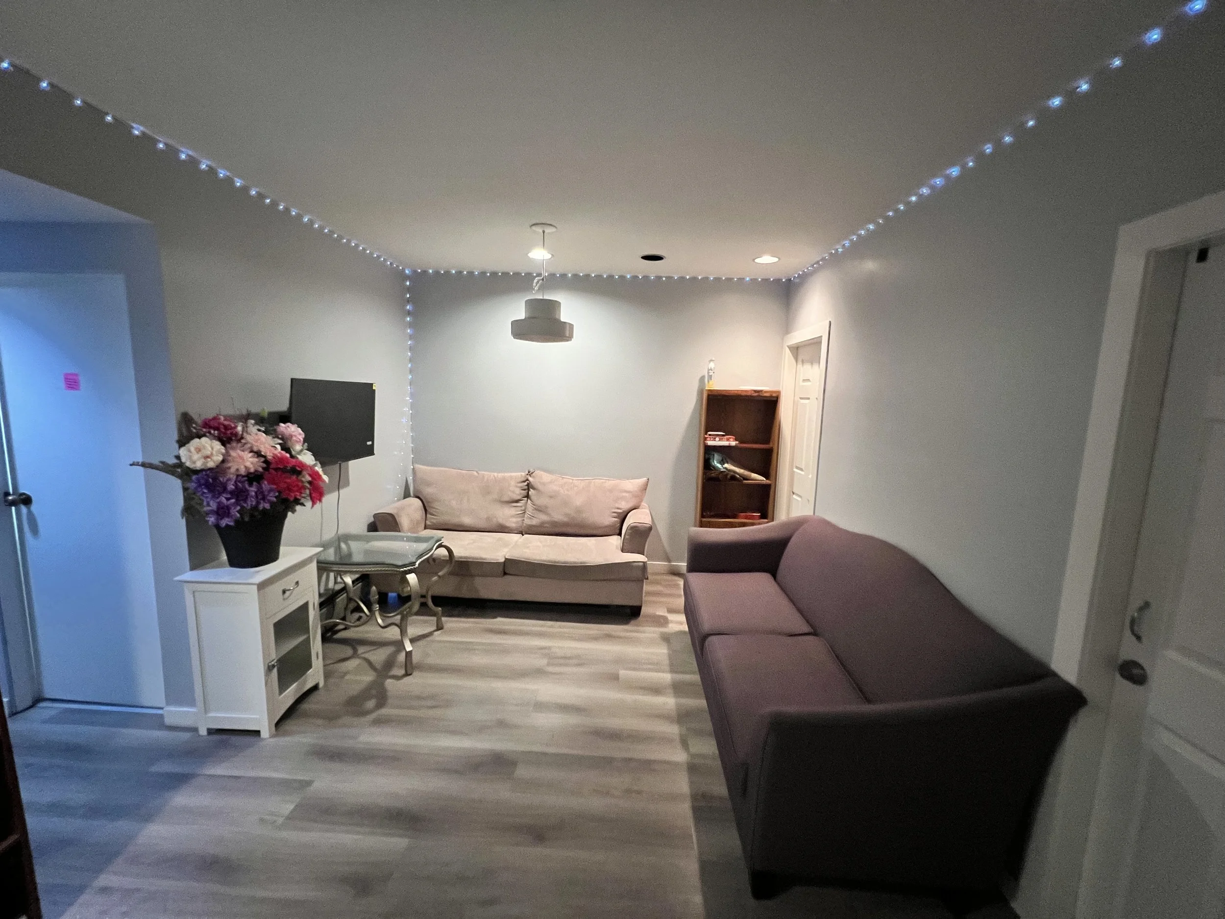 Living room with two sofas, a small white side table with a flower vase, a wall-mounted TV, a bookshelf, and ceiling string lights.