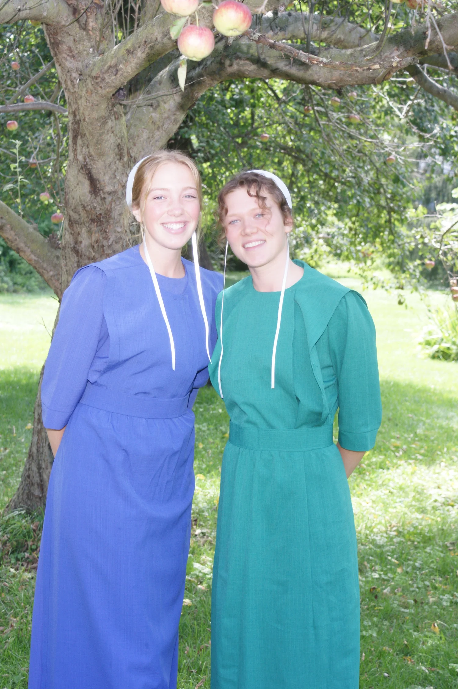 Amish WOman's Just a Dress — Notice: The Store is OPEN, come on in!
