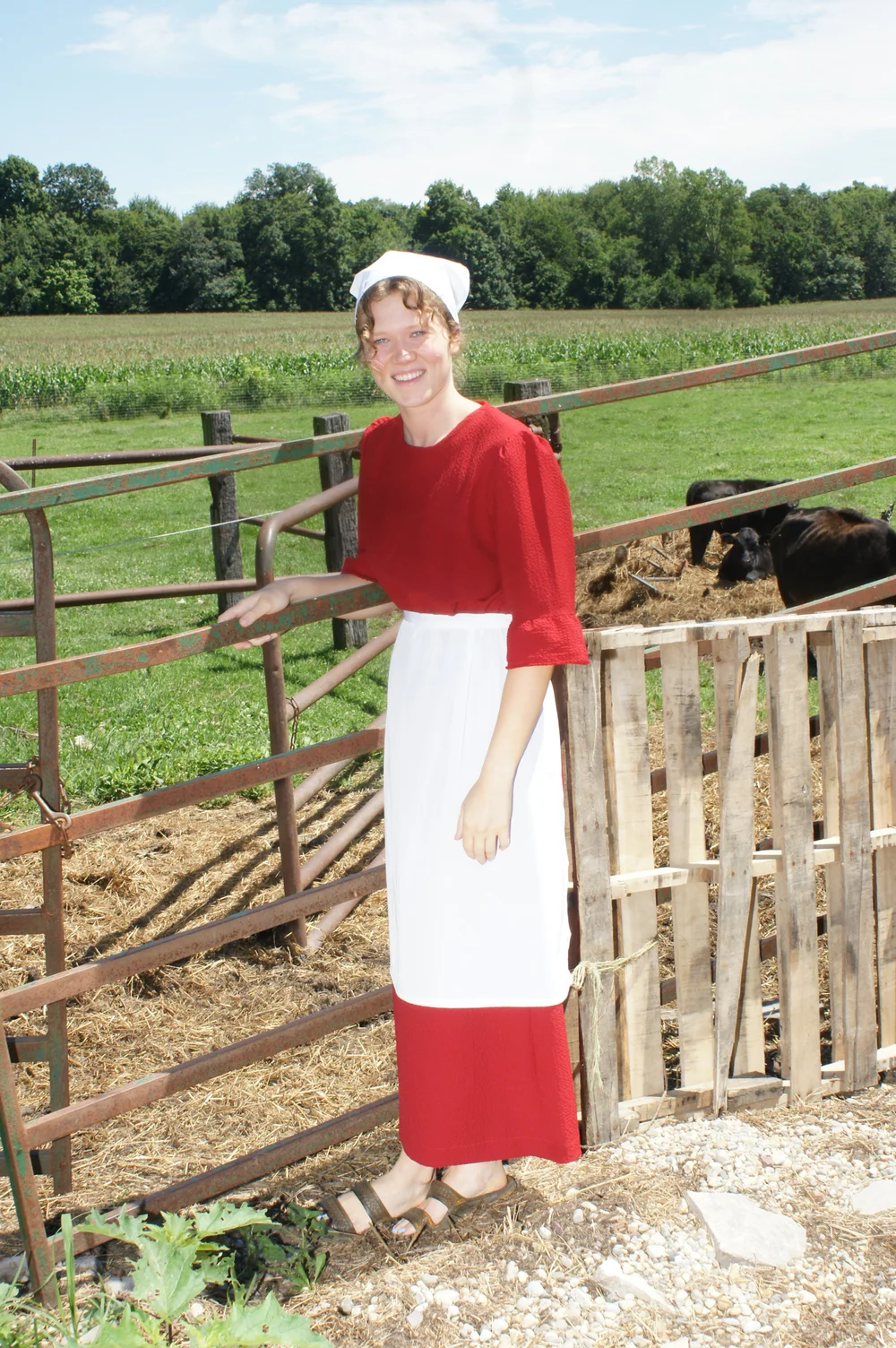 Farmer's Daughter Basic Amish Outfit  Notice: The Store is OPEN, come on  in!