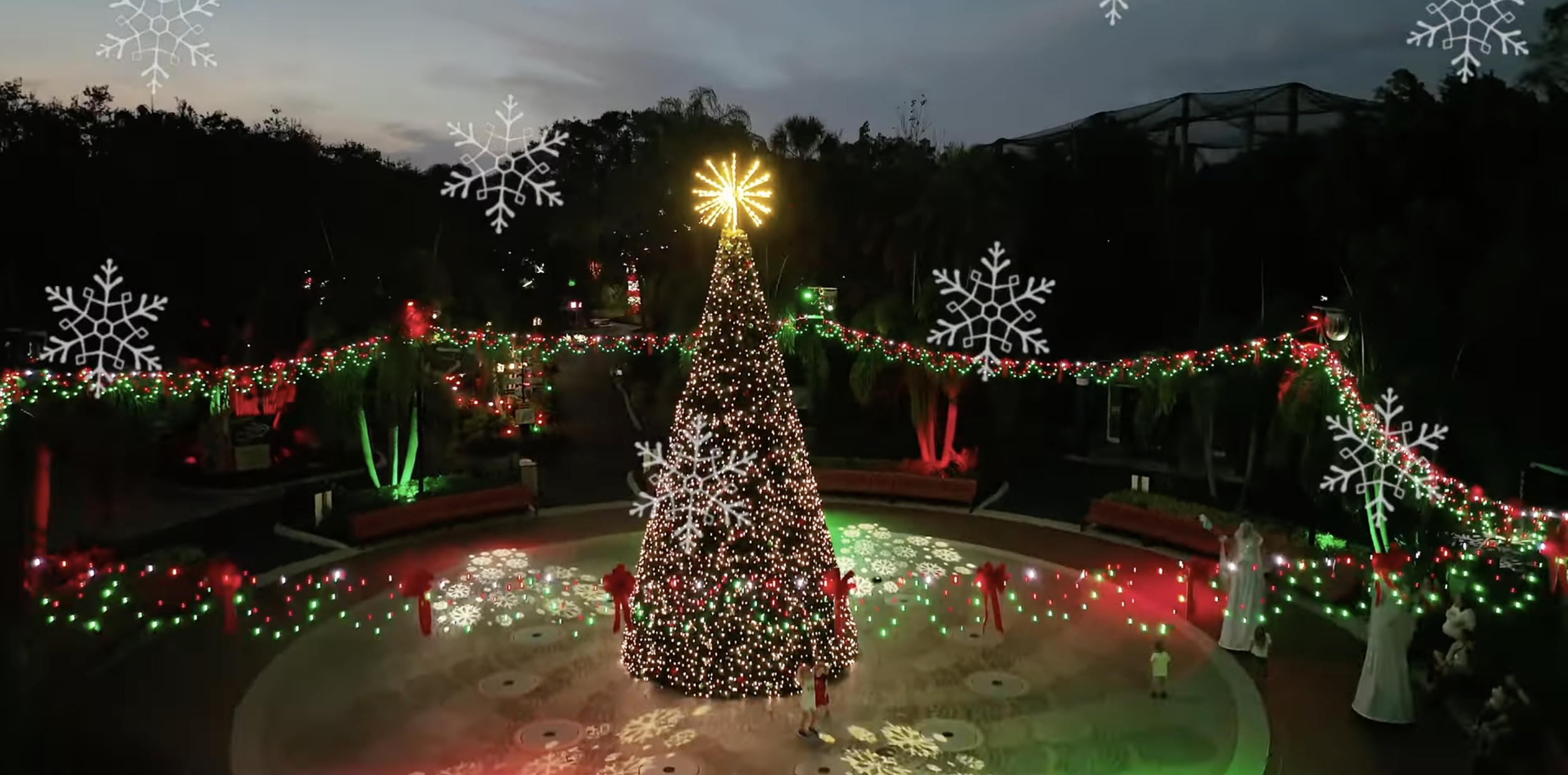 Screenshot 2026-02-15 at 4.37.25 PM.png