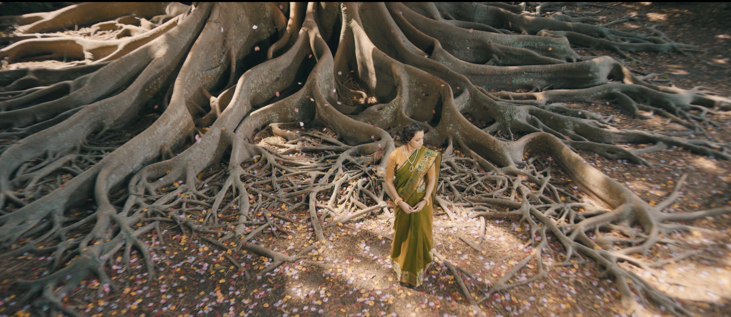 A woman in a green and yellow sari stands beneath the large roots of a banyan tree, with pink and orange flower petals scattered on the ground.