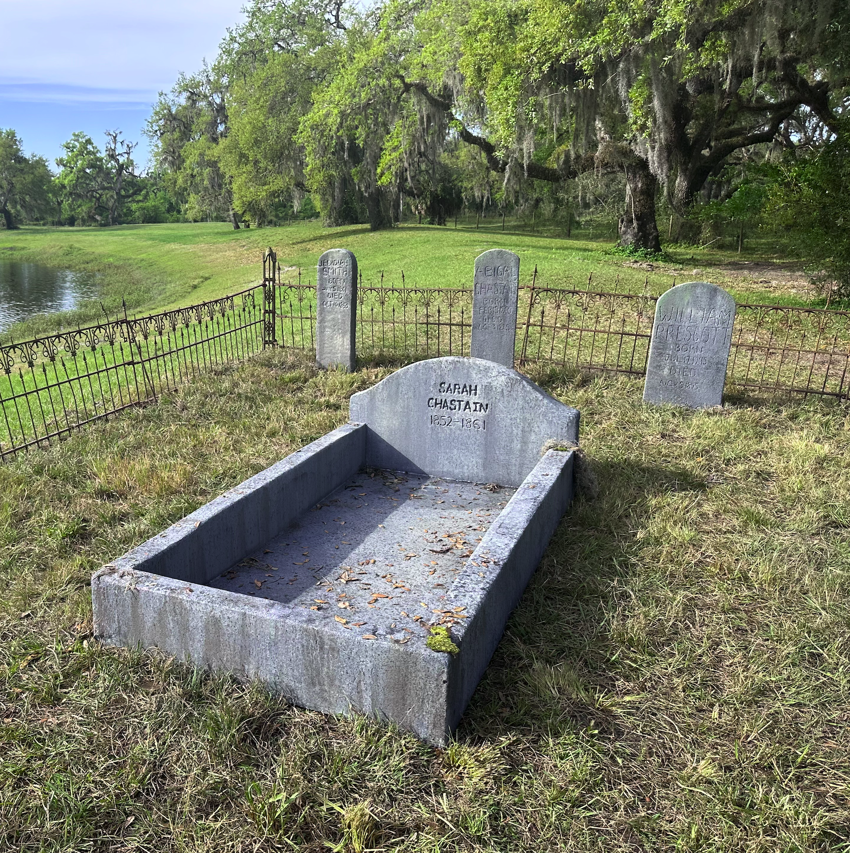 Screenshot 2024-07-29 at 11.41.17 AM.PNG