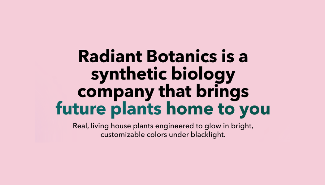 From University Lab to Independent Lab Space: &nbsp;A Radiant Botanics Case Study