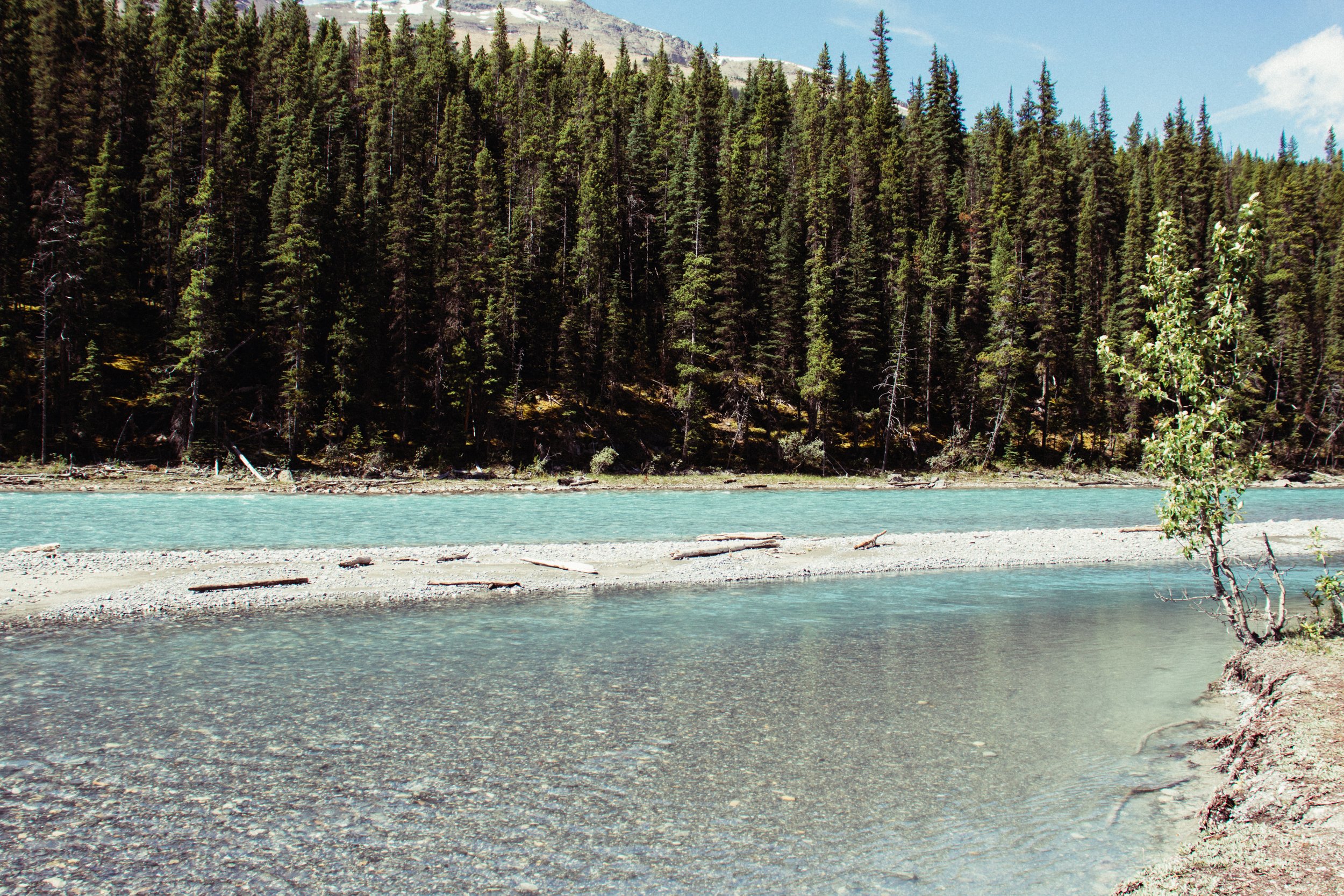 A river with clear water flowing through a forested area with trees on the riverbank and in the background, under a partly cloudy sky.