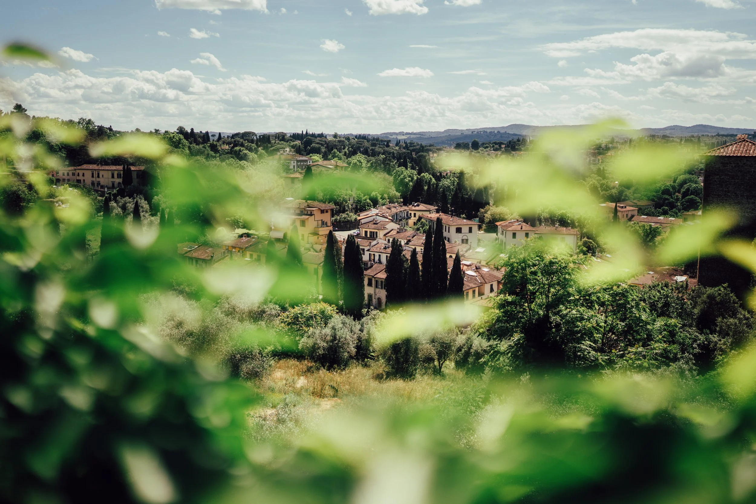 A scenic view of a small village with houses and tall trees, surrounded by lush greenery and hills under a partly cloudy sky, with some green leaves in the foreground.