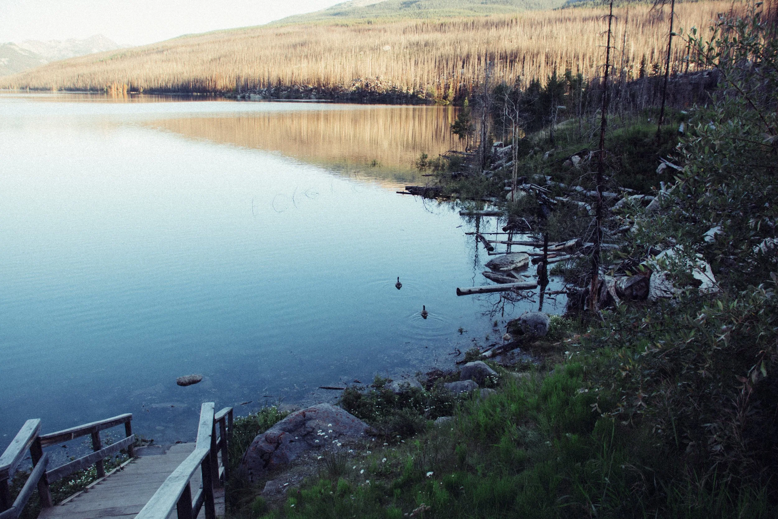Scenic lake surrounded by forested hills with calm water reflecting the landscape, a wooden staircase leading down to the water's edge, and debris including logs and branches along the shoreline.