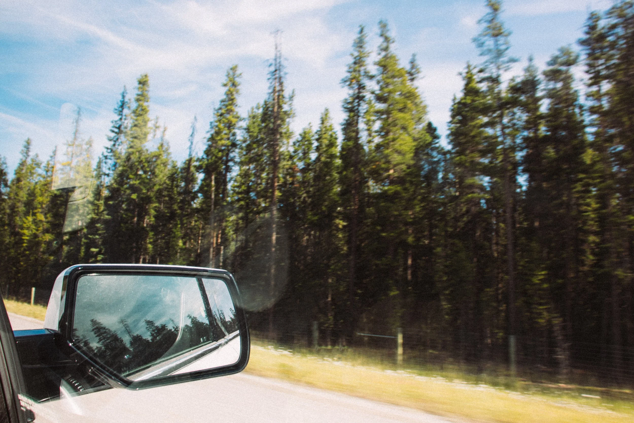 View of a forest with tall green trees alongside a road seen through the side mirror of a moving vehicle.