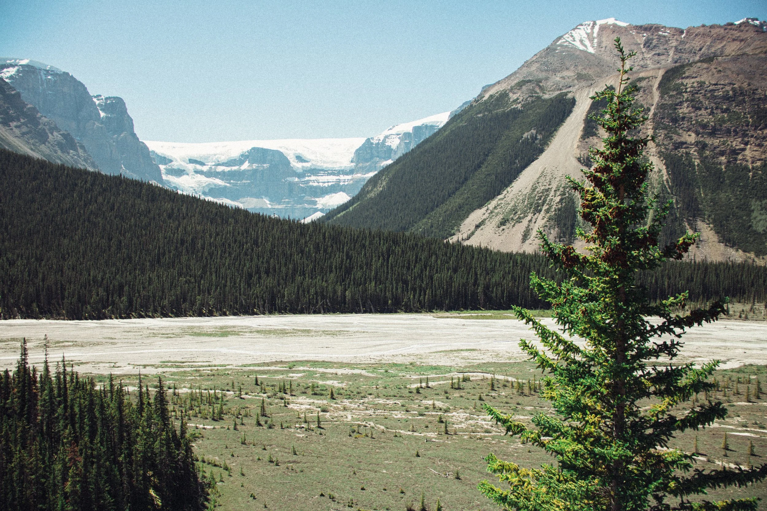 Scenic view of a mountainous landscape with snow-capped peaks, dense evergreen forest, and a wide, open plain with scattered trees