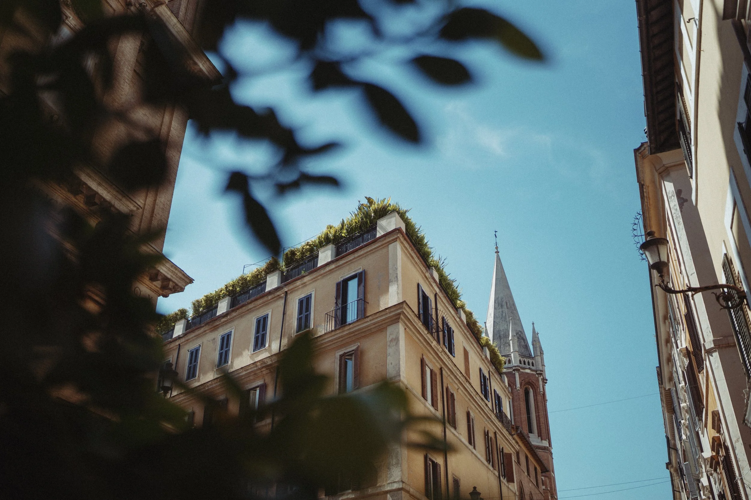 A low-angle view of a historic European cityscape with a church steeple, surrounding buildings with balconies, and a rooftop garden under a clear blue sky, partially obscured by blurred leaves in the foreground.
