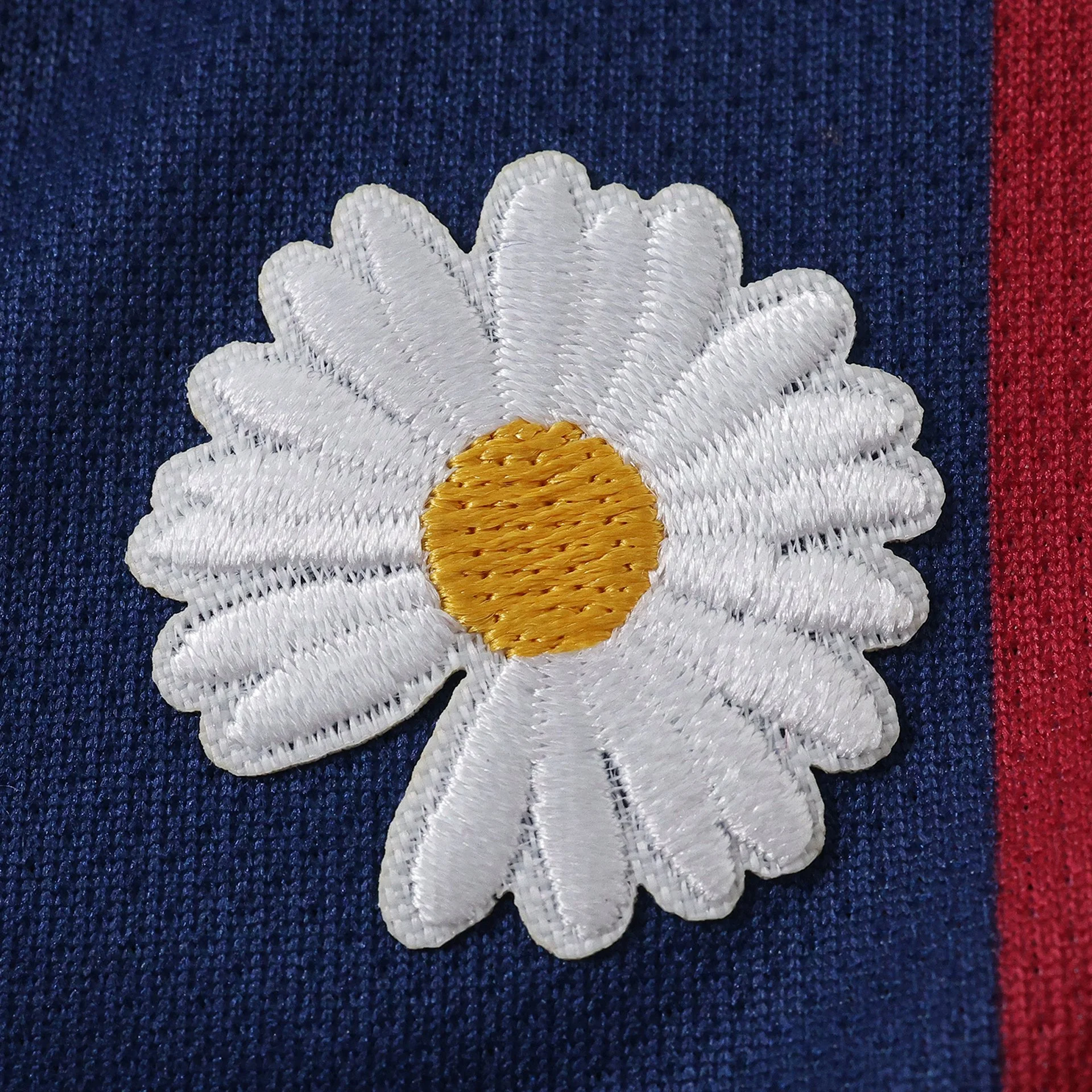 c5d762cd.jpg