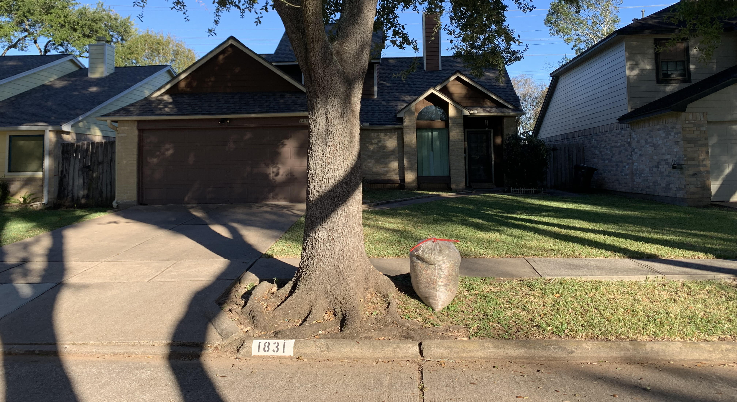 ReedMow lawn care service: front yard with a large tree and a bagged leaf cleanup at the curb