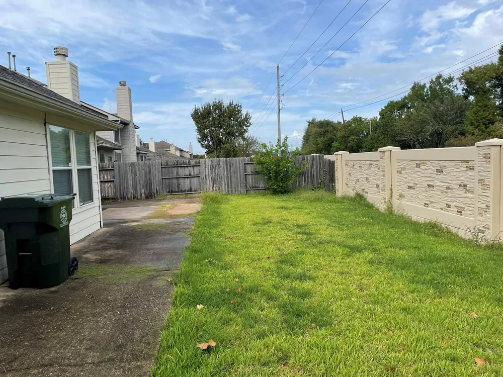 Rear patio with weeds before cleanup