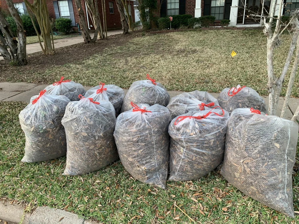 Leaf Cleanup