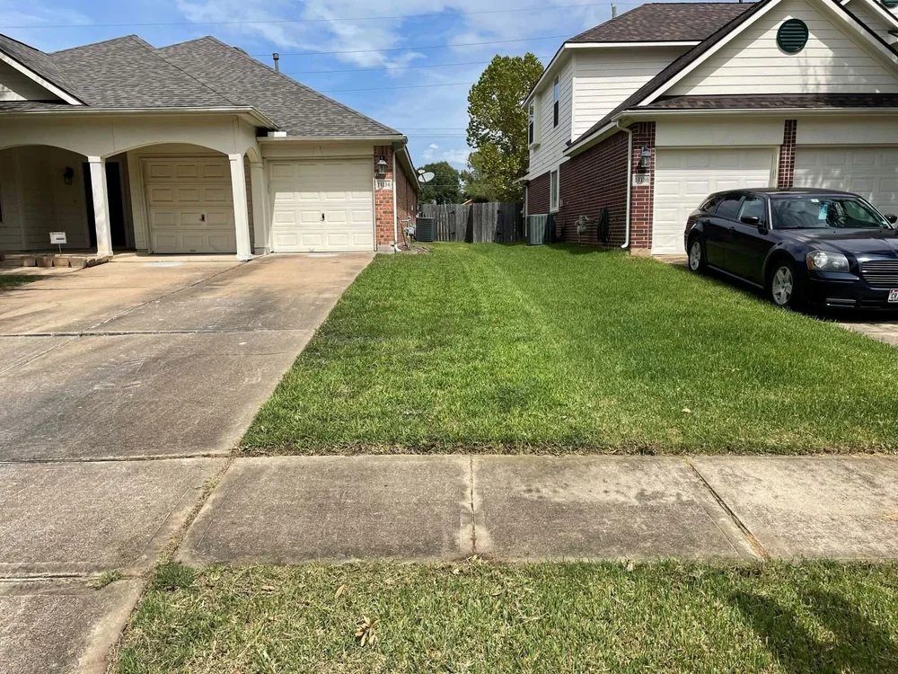 Side yard after mowing