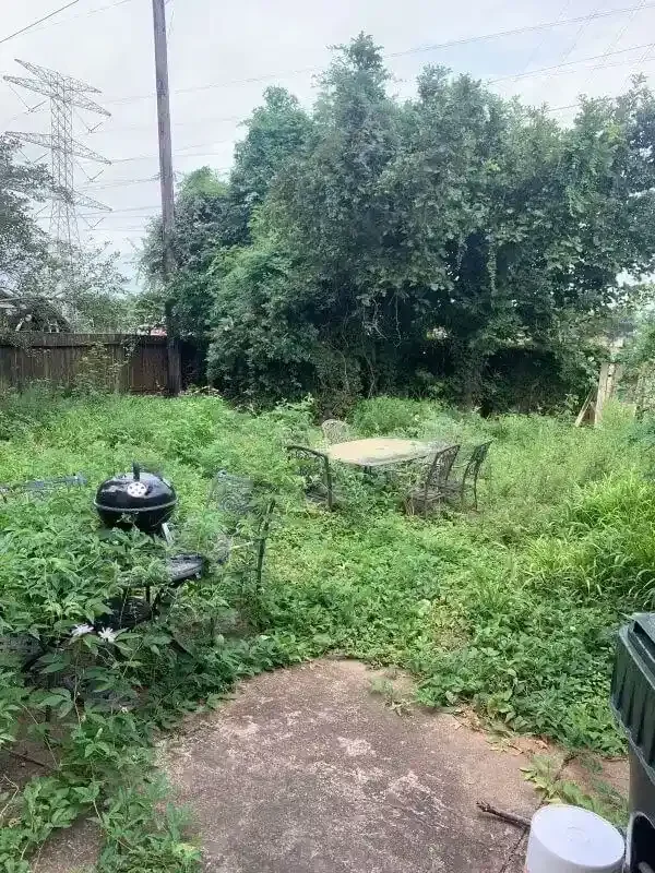 Cleanup Before