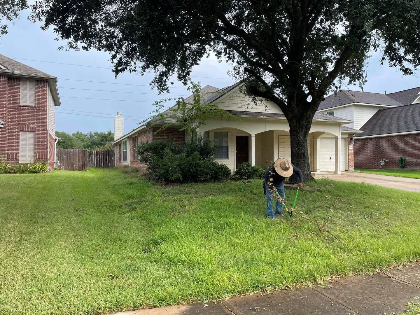 ReedMow property cleanup: overgrown front yard before cleanup, Sugar Land, TX