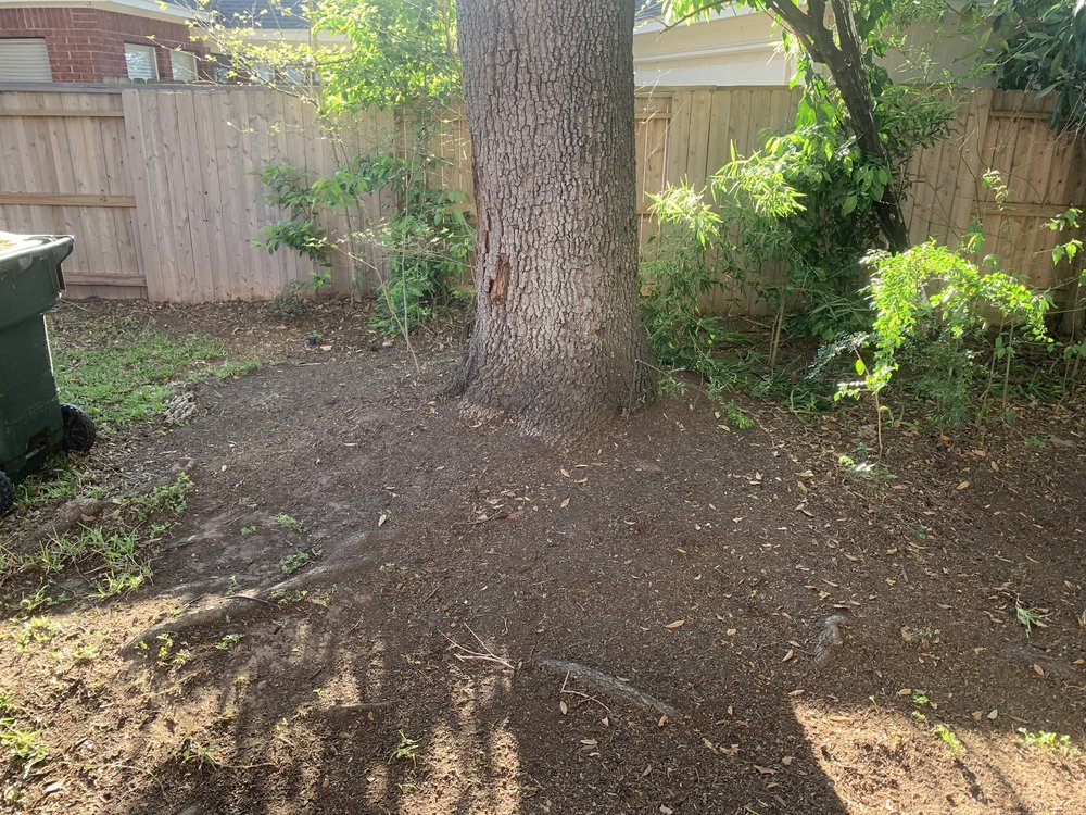 ReedMow Microbial Spreading Operation