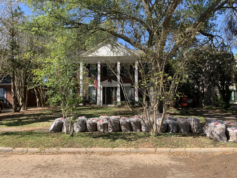 ReedMow Leaf Extraction Phase