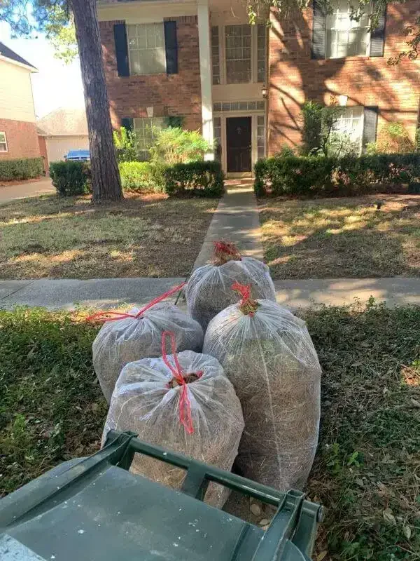Bagging