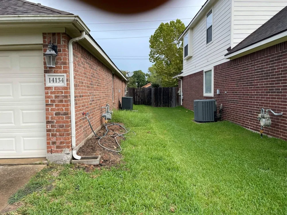 Side yard with high grass before mowing