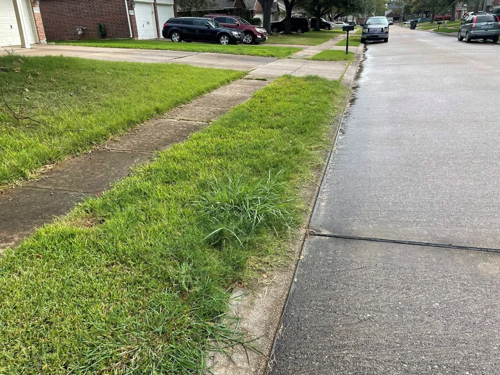 Grass and weeds growing over the sidewalk edge