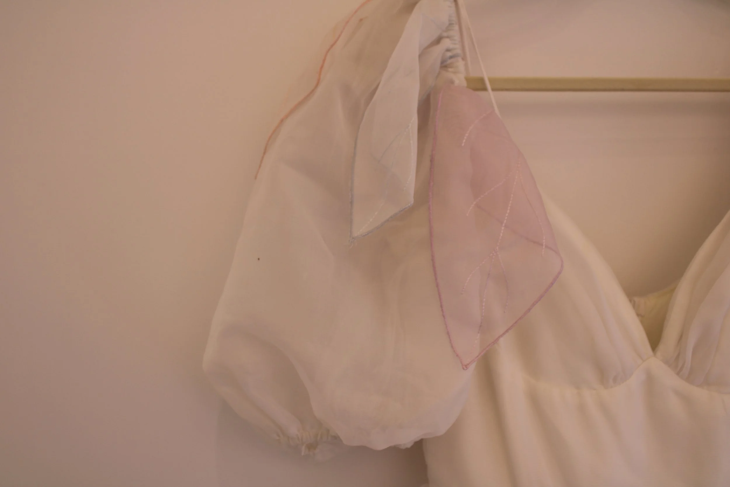 A beige or off-white garment with a sheer puffy sleeve, hanging on a wooden hanger against a plain wall, with a delicate pink and silver embroidered leaf pattern on the sheer fabric.
