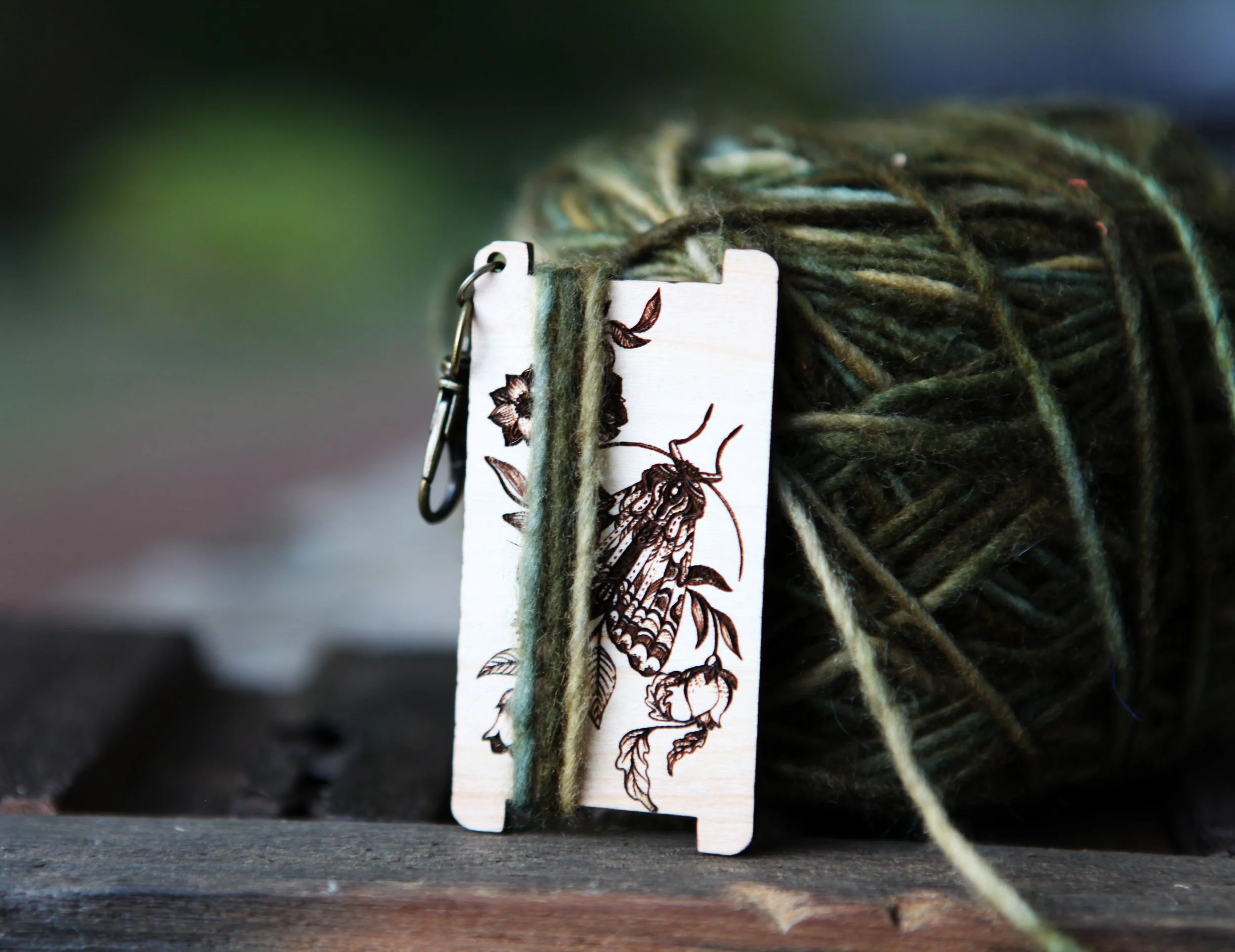 WPI - Moth 4.jpg