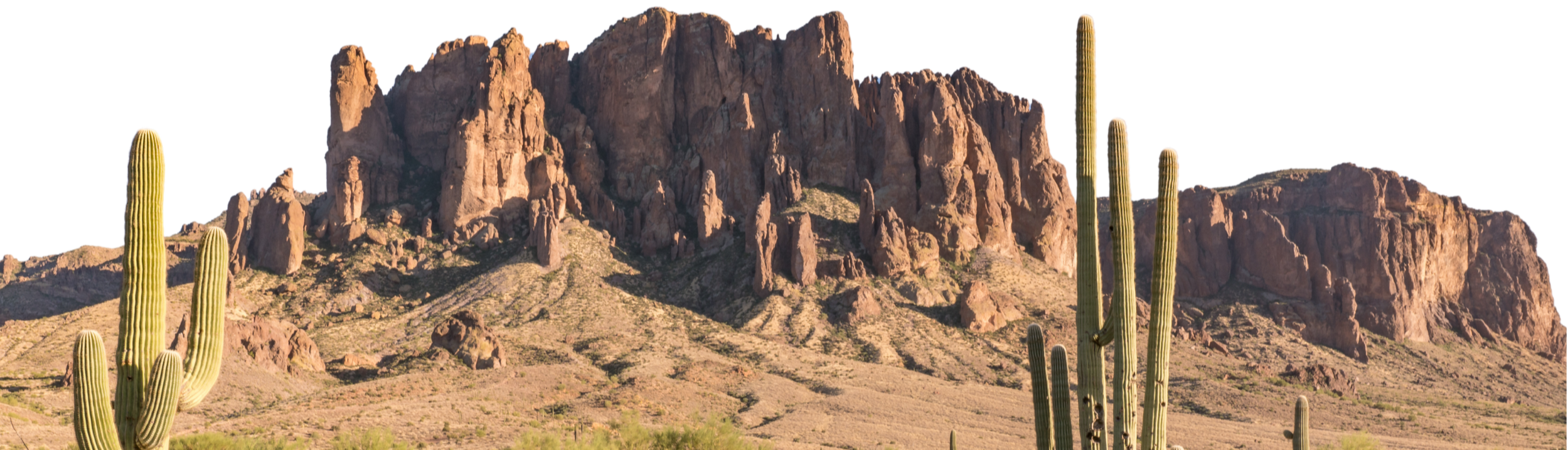 Desert landscape
