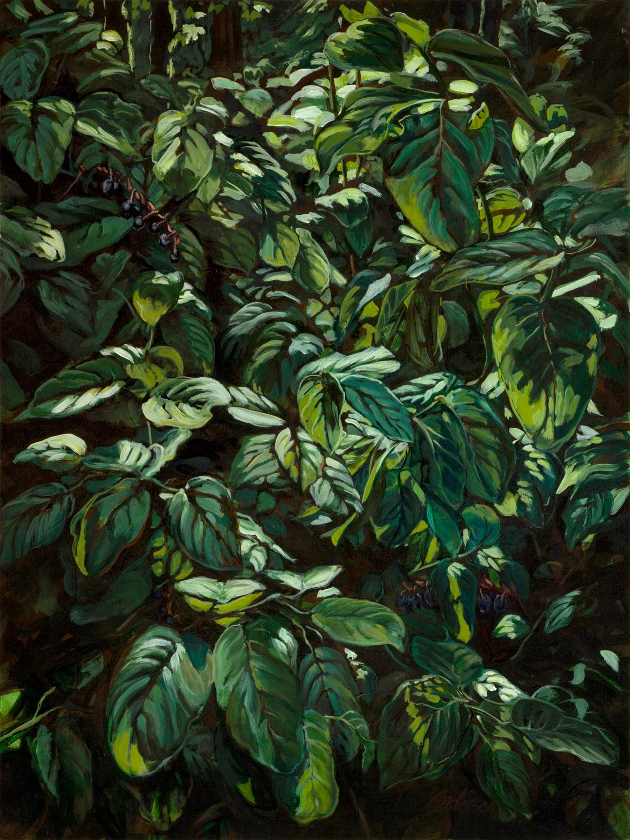 Salal
