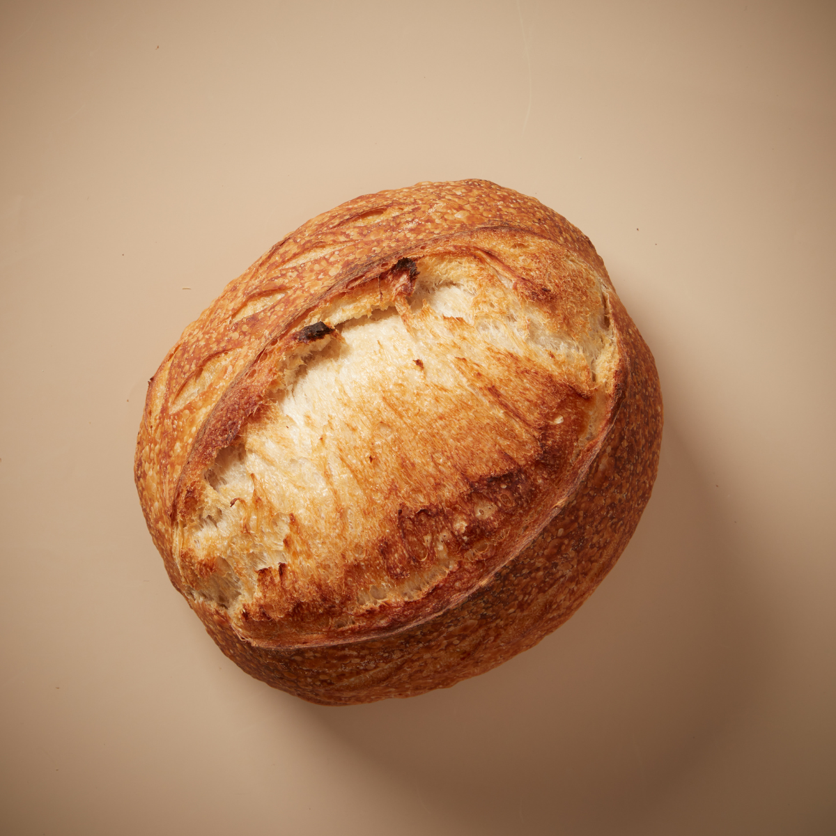 Untitled (4 x 6 in) (4 x 4 in) (2).png