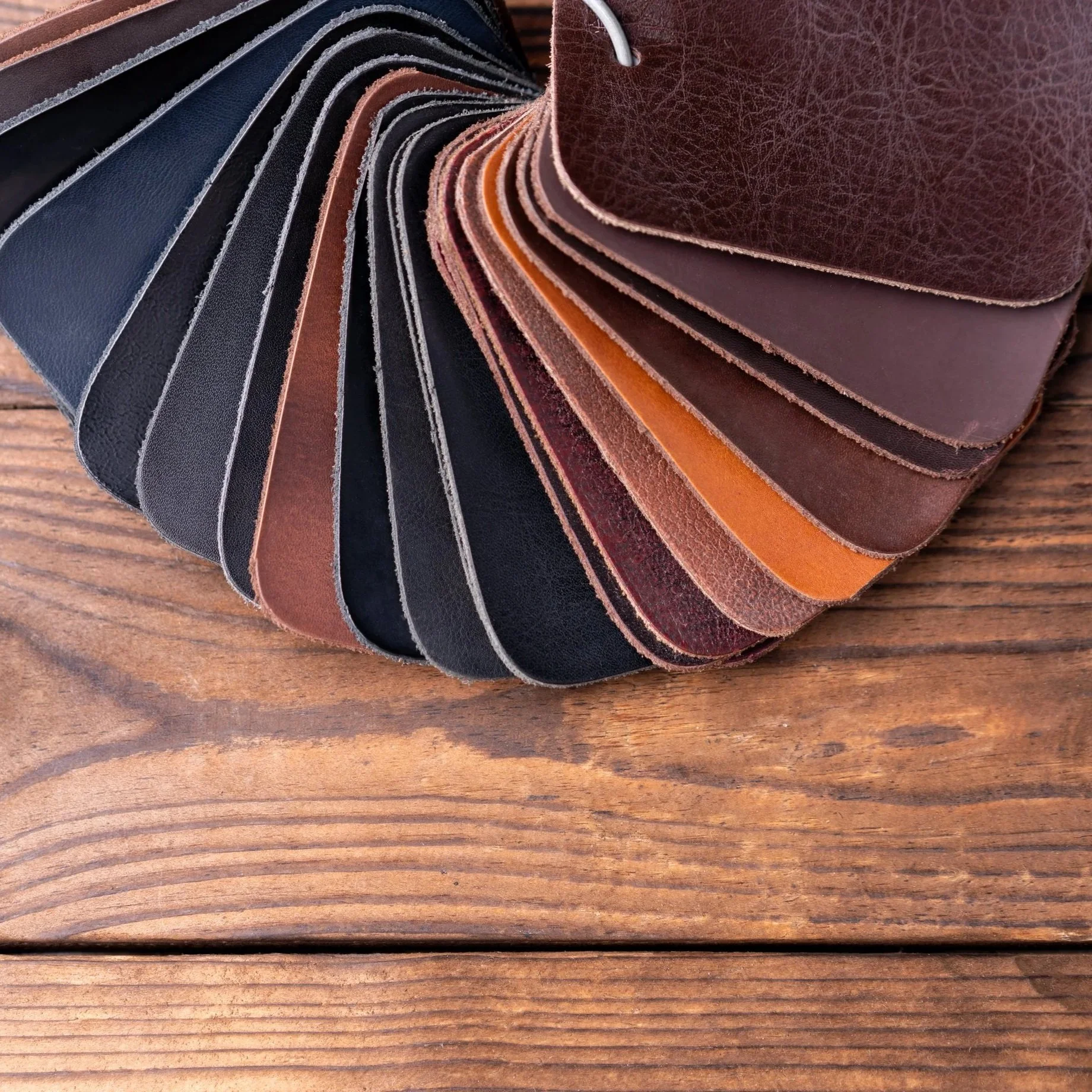 AdobeStock_291263166.jpg