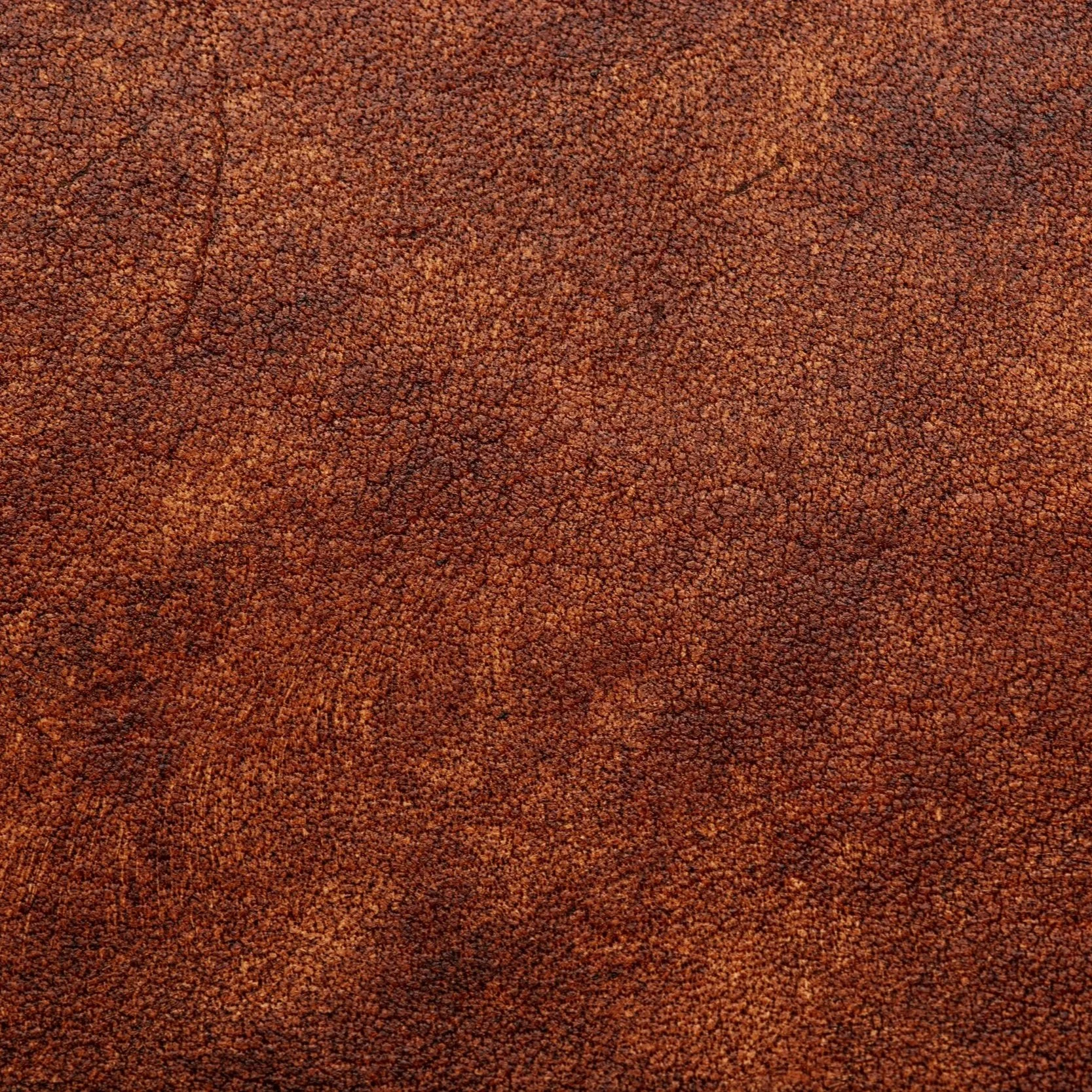 AdobeStock_325779682.jpg