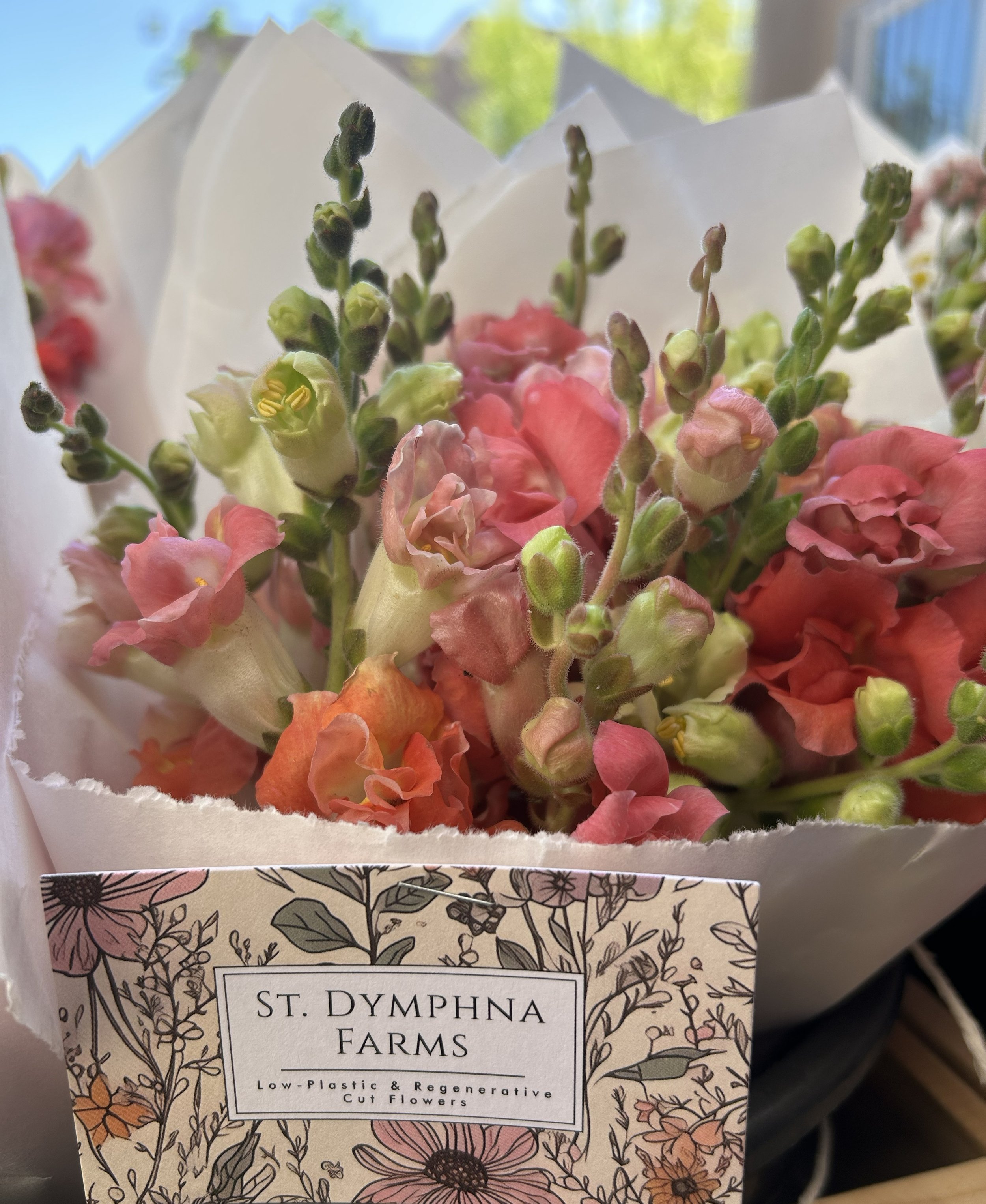 Seasonal Straight-Bunch