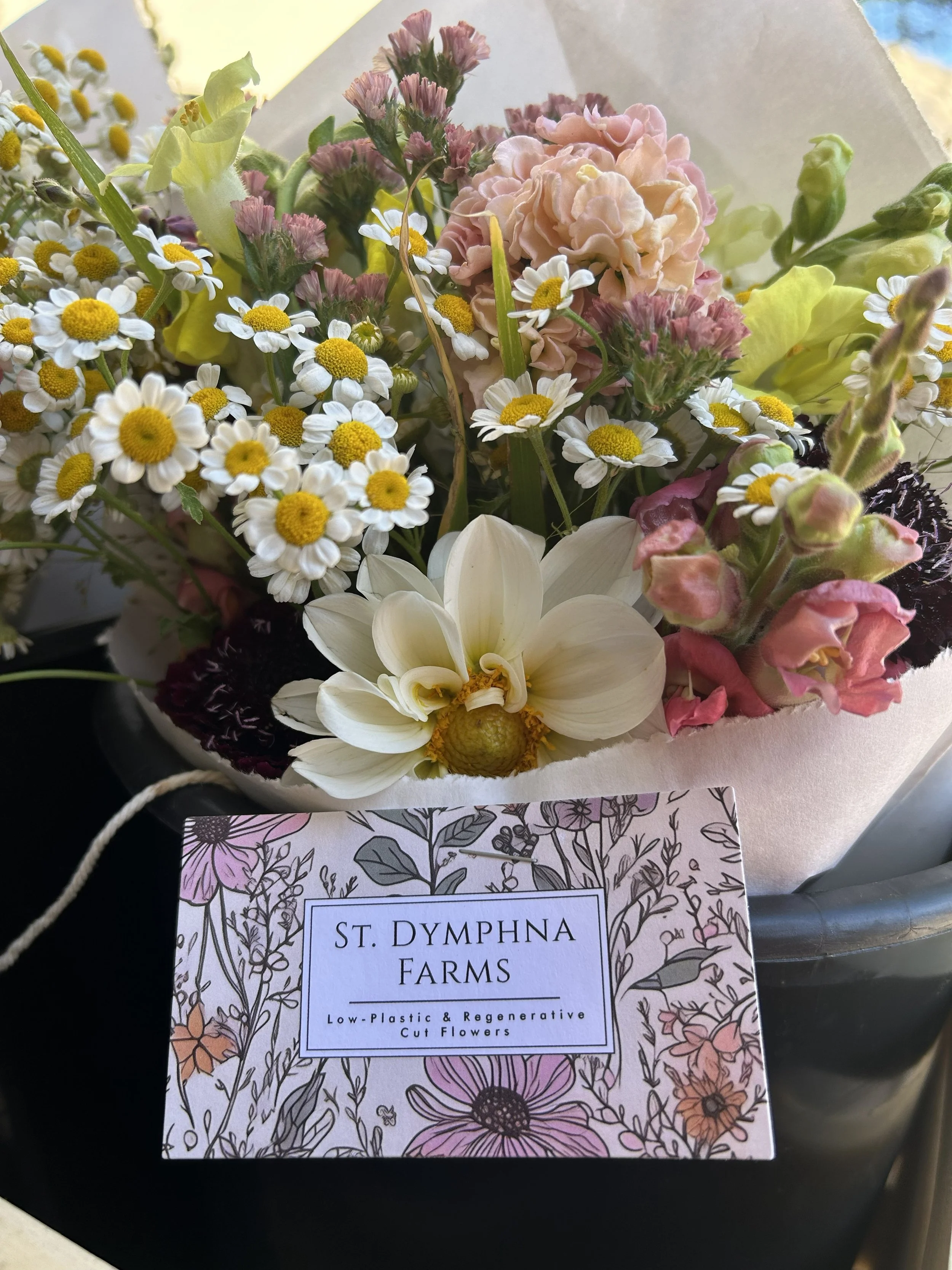 6-Week Spring 2026 Bouquet Subscription