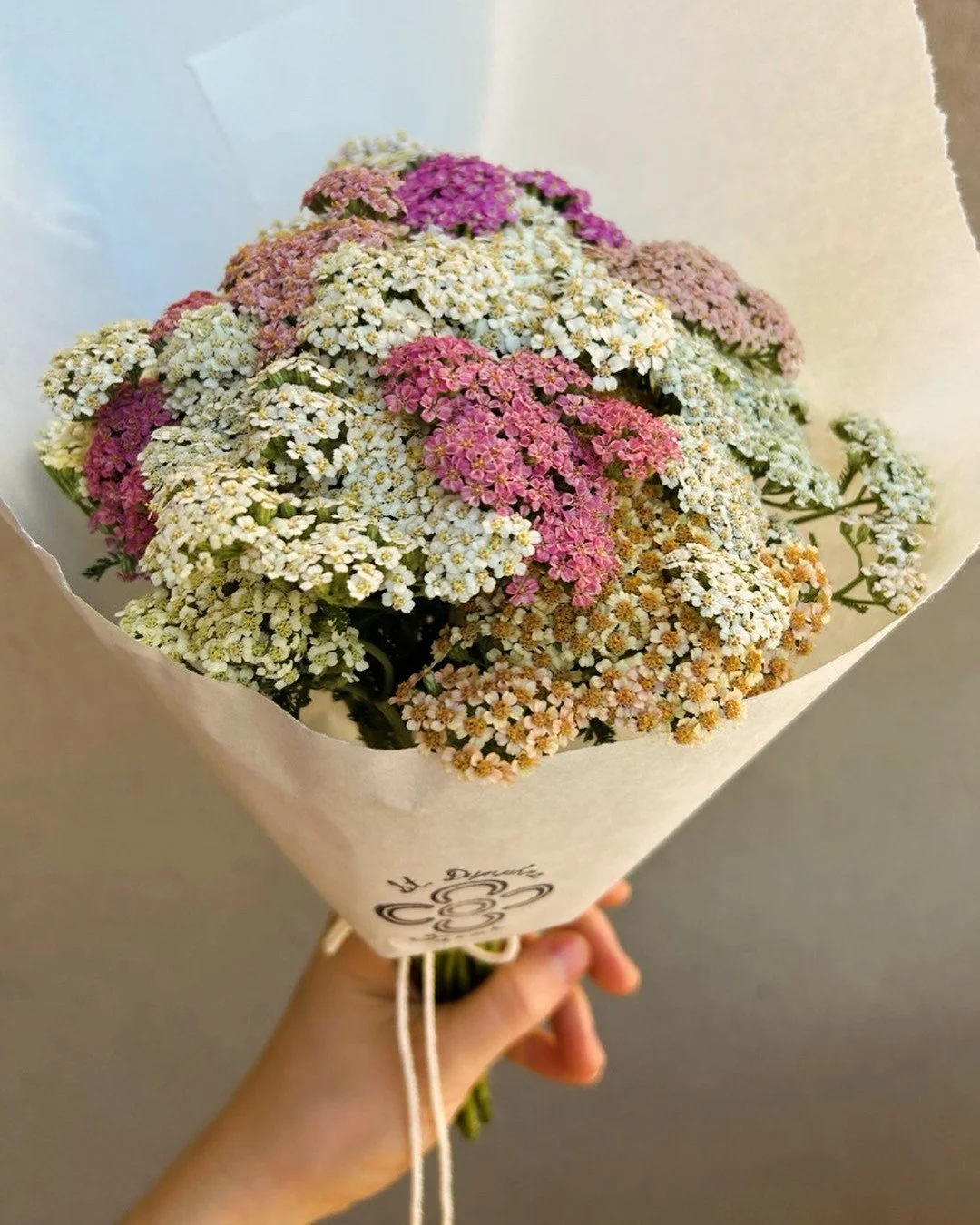 Seasonal Bunch