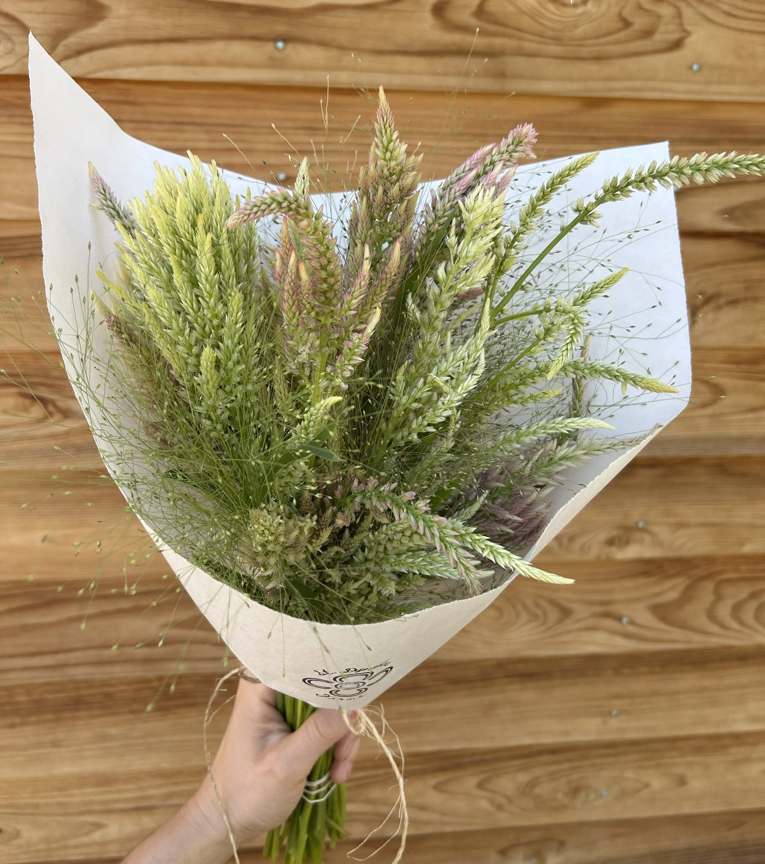 6-Week 2026 Fall Bunch Subscription