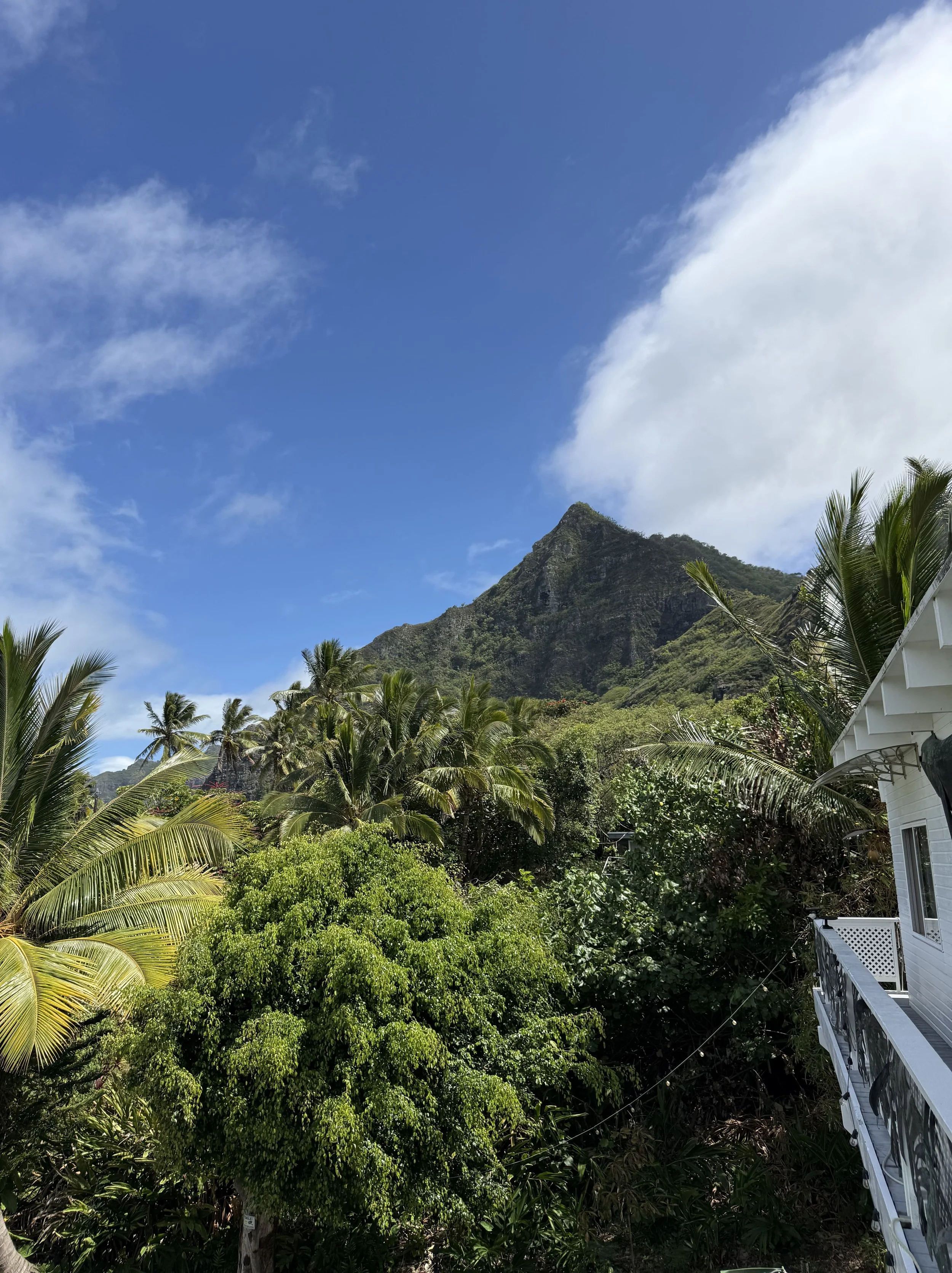 Commercial real estate Hawaii - Huge lanai