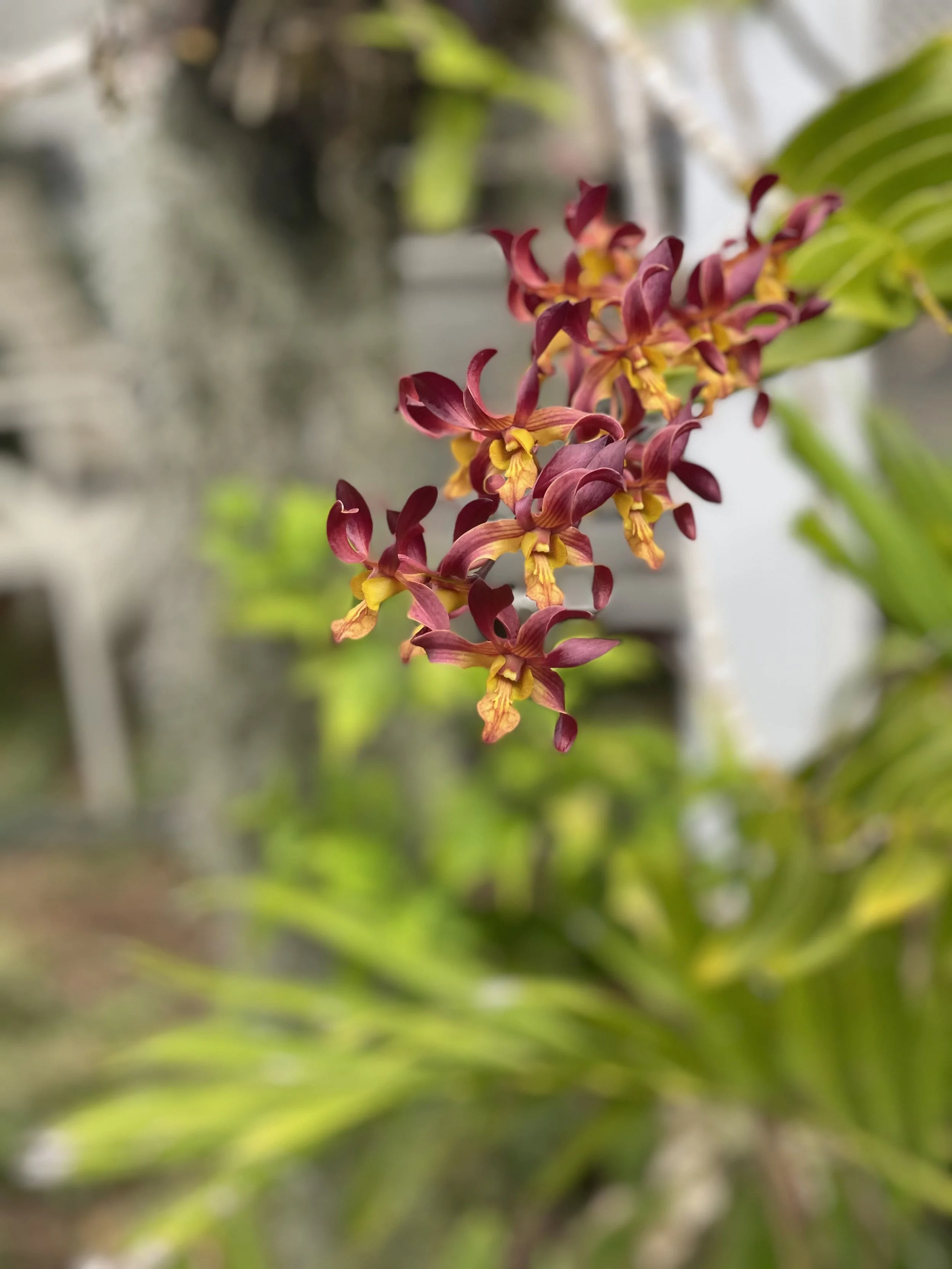 Commercial real estate - luxury Yoga, Health, Wellness, Artist Retreat  with an ocean view large chef's kitchen