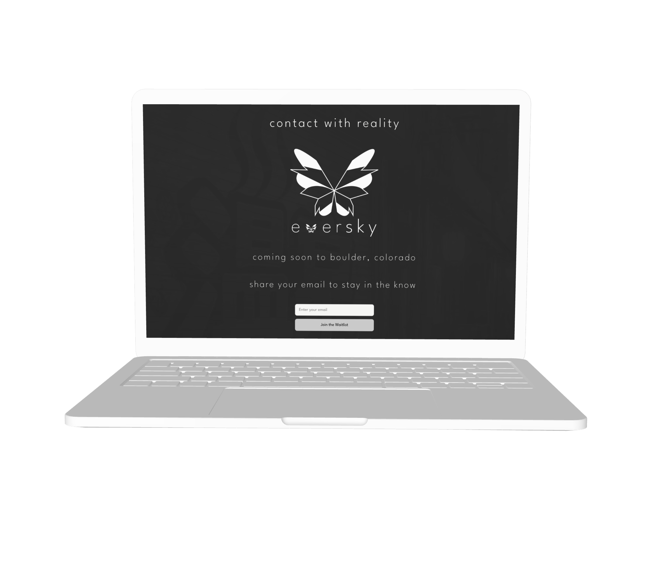 Eversky Combination Logo