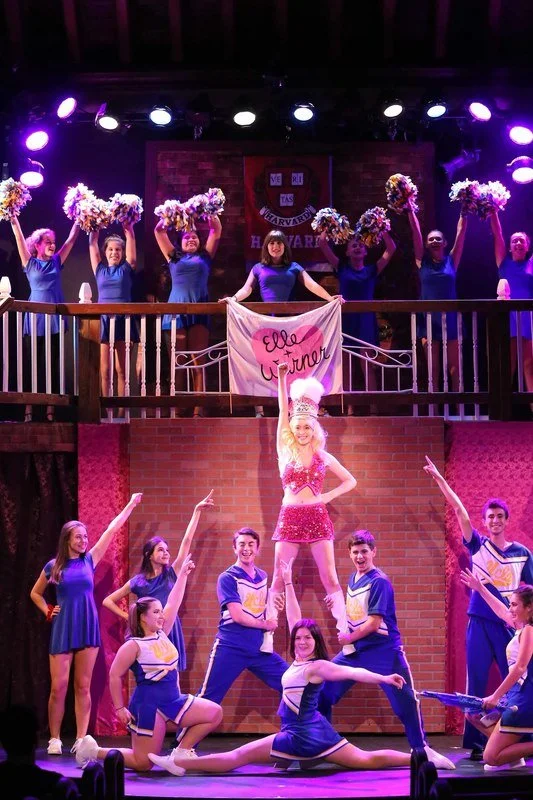 Cheerleaders perform on stage with a cheerleader holding a sign that reads 'Elle turns 16.'