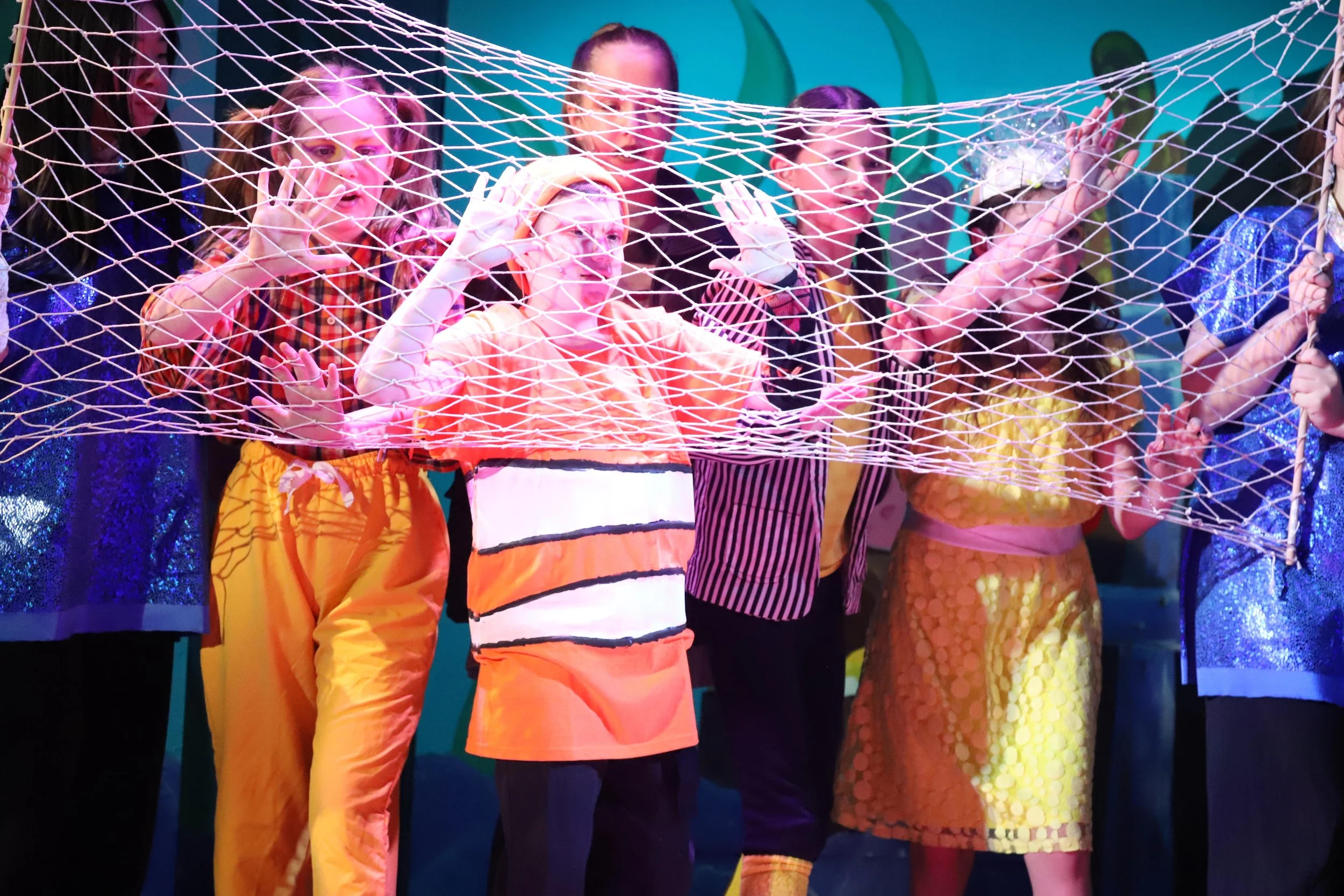 Finding Nemo - 53.jpg