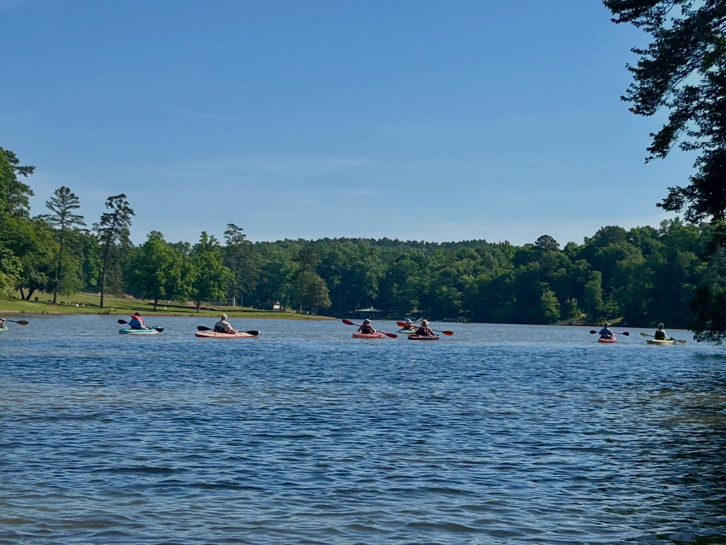 Saturday AM JLA paddle! Up the Alcovy River to the Shoals&hellip;including Paul&rsquo;s Drive thru cookie window! 😋😎🌞 #jacksonlakeassociation #jacksonlake #lakelifeisthebestlife #optoutside #paddlingadventures